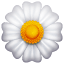 Significado de 🌼 emoji Flor Emoji