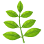 Significado de 🌿 emoji Hierba