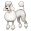 Significado de 🐩 emoji Poodle